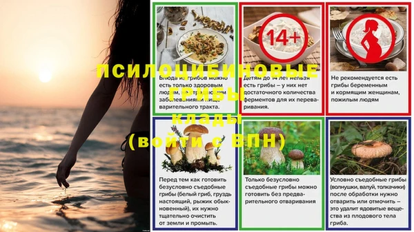 прущая мука Рославль