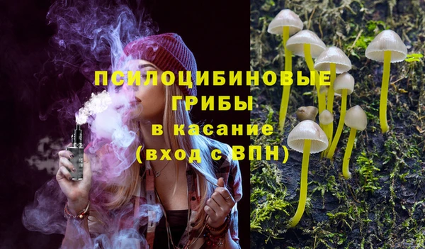 прущая мука Рославль