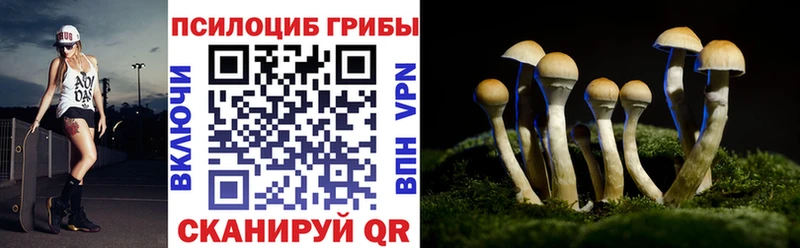 blacksprut как зайти  Слободской  Псилоцибиновые грибы MAGIC MUSHROOMS  купить наркотик 