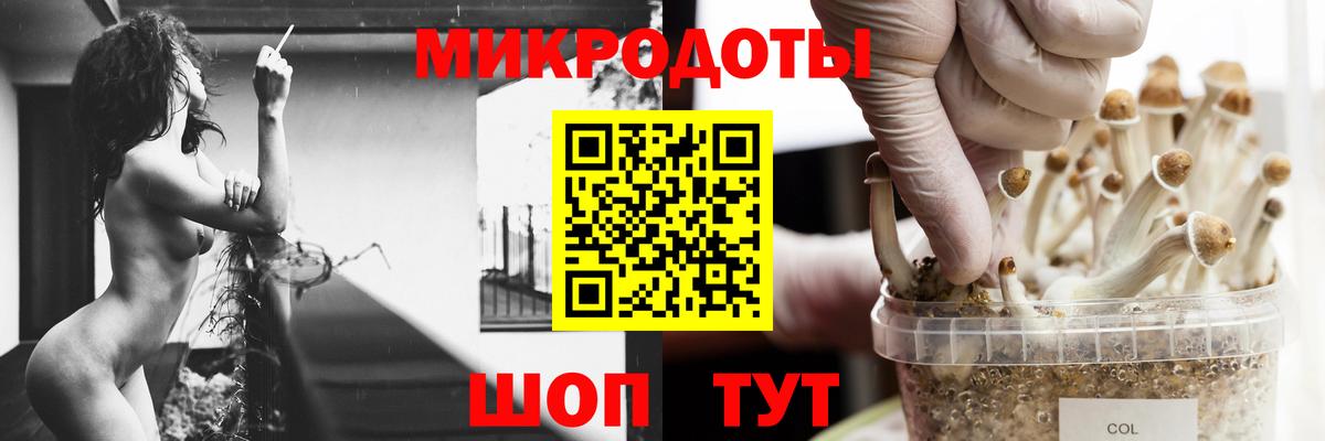 Галлюциногенные грибы Magic Shrooms Слободской